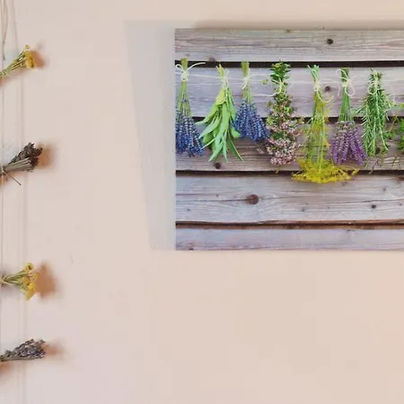 La Era De Navarri - شقة *