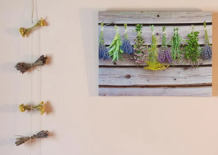 La Era De Navarri - アパート *